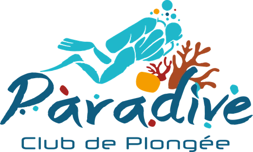 Paradive, club de plongée